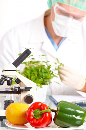 Food Science & Nutrition Research